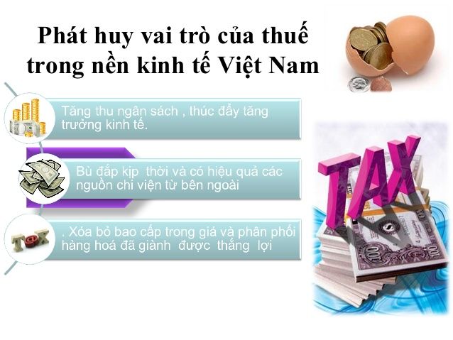 Vai trò của thuế đối với sự phát triển kinh tế xã hội tại Bình Dương