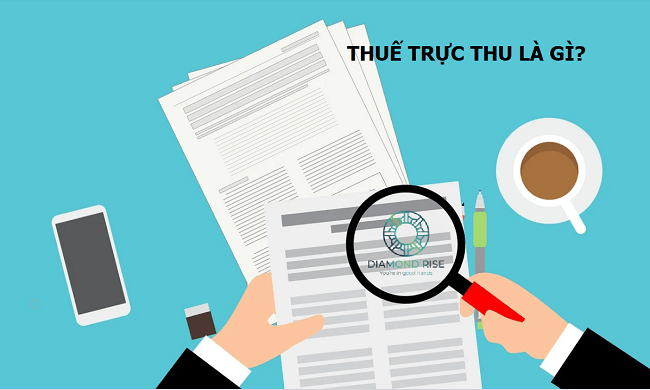 Thuế trực thu là gì? Sự khác biệt giữa thuế gián thu và thuế trực thu